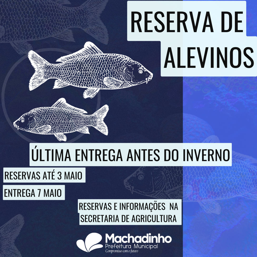 feed reserva de alevinos