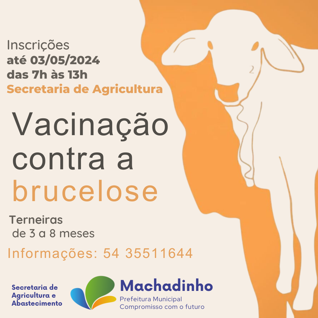 feed Vacinação Brucelose
